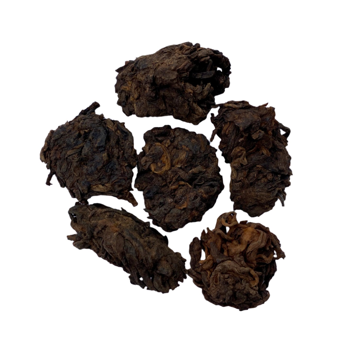 2016 Jingmai Mountain Gu Shu Lao Cha Tou Shou Pu'er