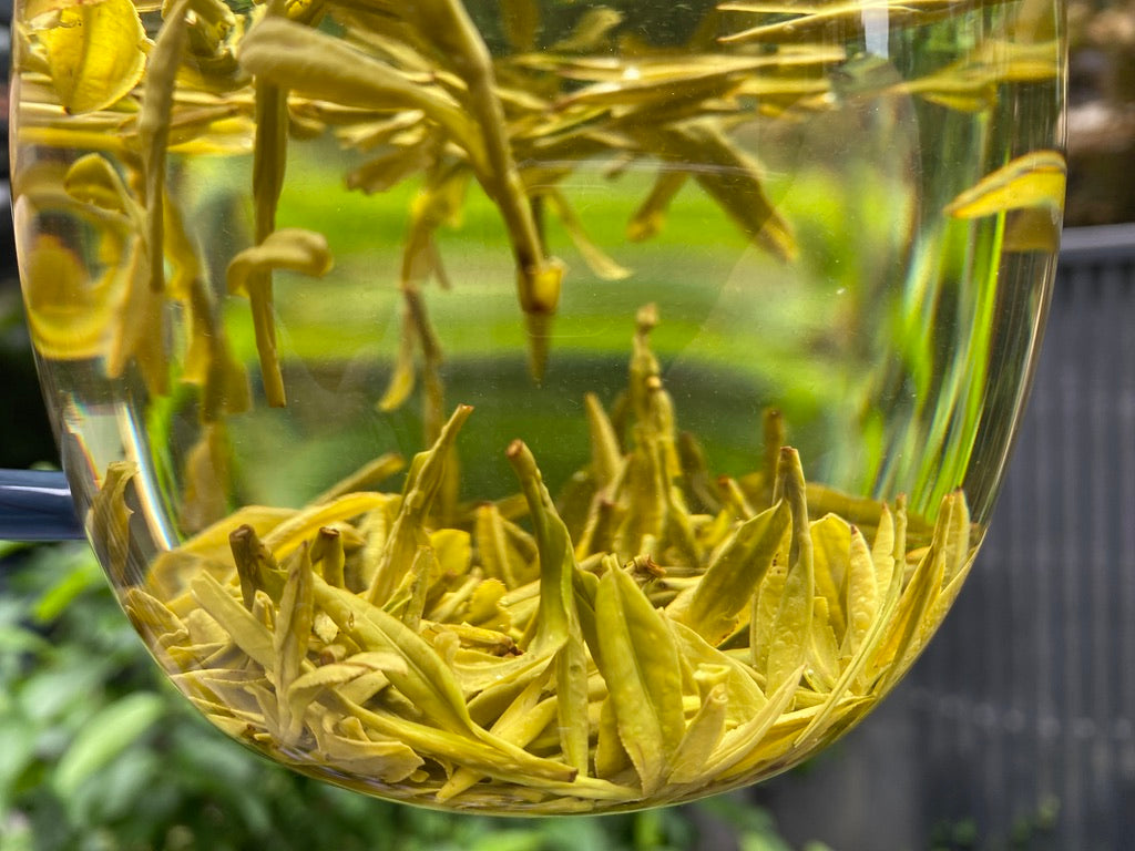 2024 Da Fo Long Jing “Dragon Well” - Zhejiang Green Tea