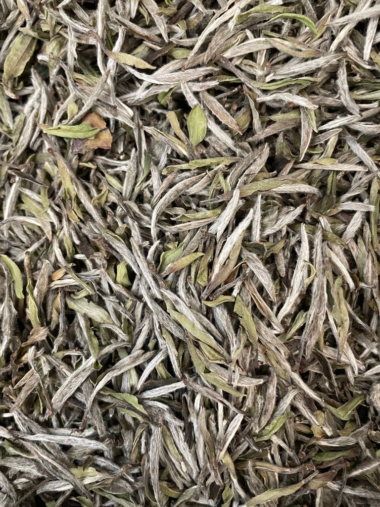 2017 Wild Mu Dan Wang “Peony King” White Tea