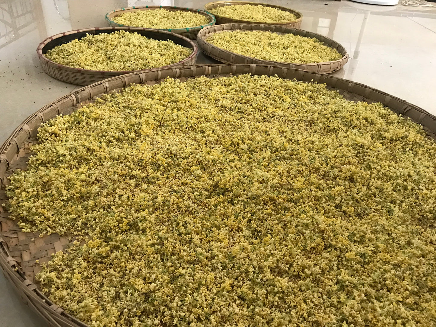 2018/2020 Osmanthus Scented Ya Xi Loose Leaf Tibetan Tea