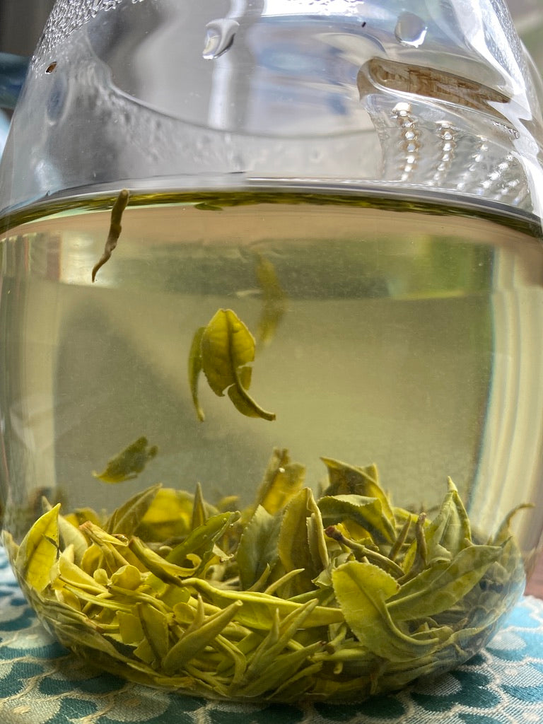 2024 Song Luo Cha - Anhui Green Tea