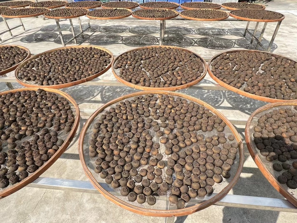 2018/2023 Xiao Qing Gan “Little Tangerine” Tibetan Tea