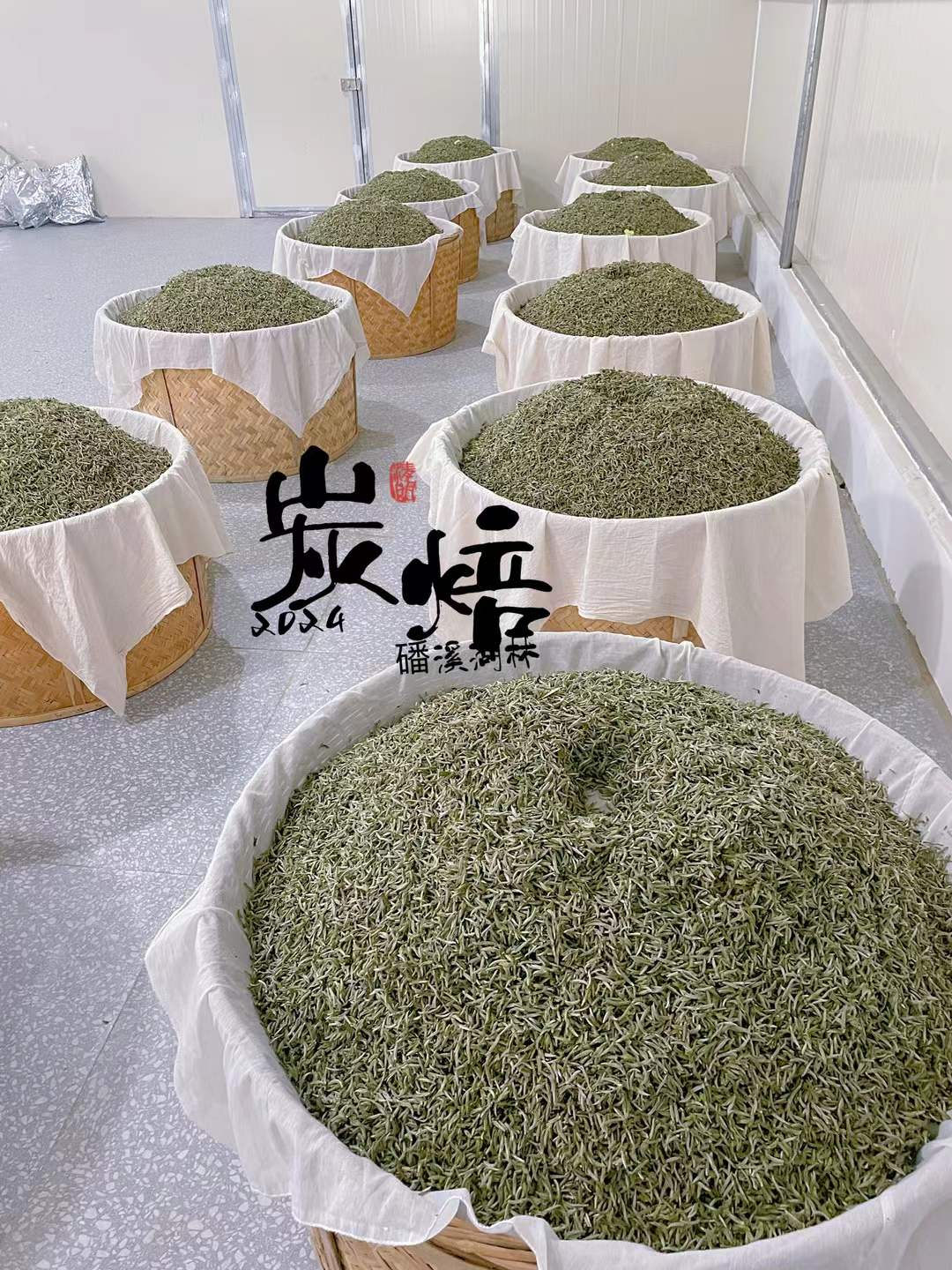 2020 Bai Hao Yin Zhen “Silver Needle” Charcoal Roasted White Tea