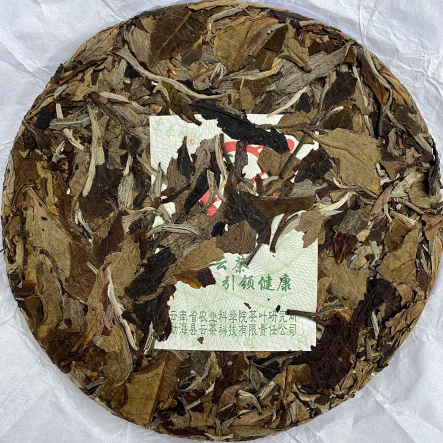 2020 Fo Xiang White Tea Cake from Yunnan