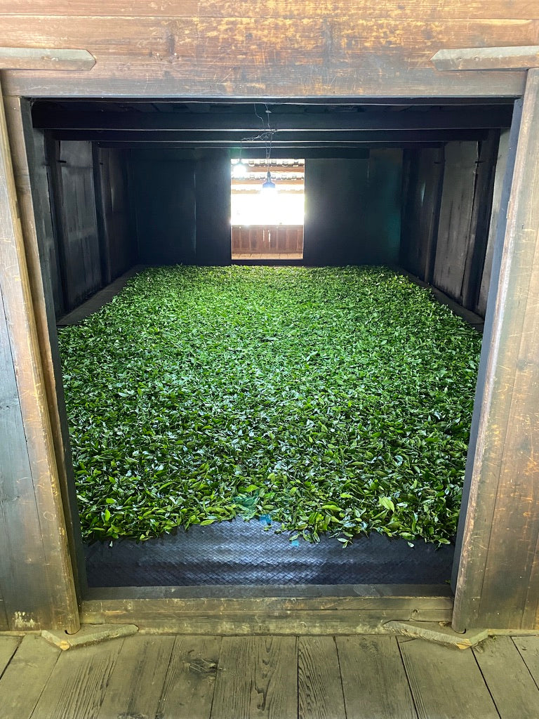 2022 Guadun Lapsang Souchong - Traditionally Smoked Zheng Shan Xiao Zhong