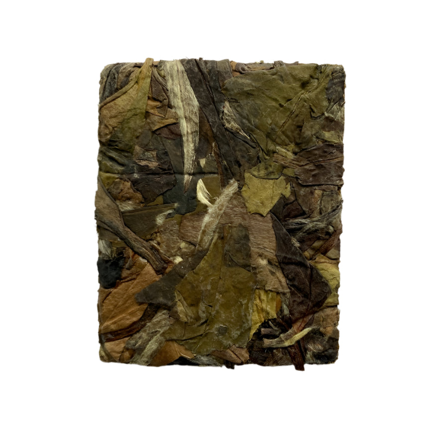 2016 Aged Bai Mu Dan “White Peony” White Tea Biscuit