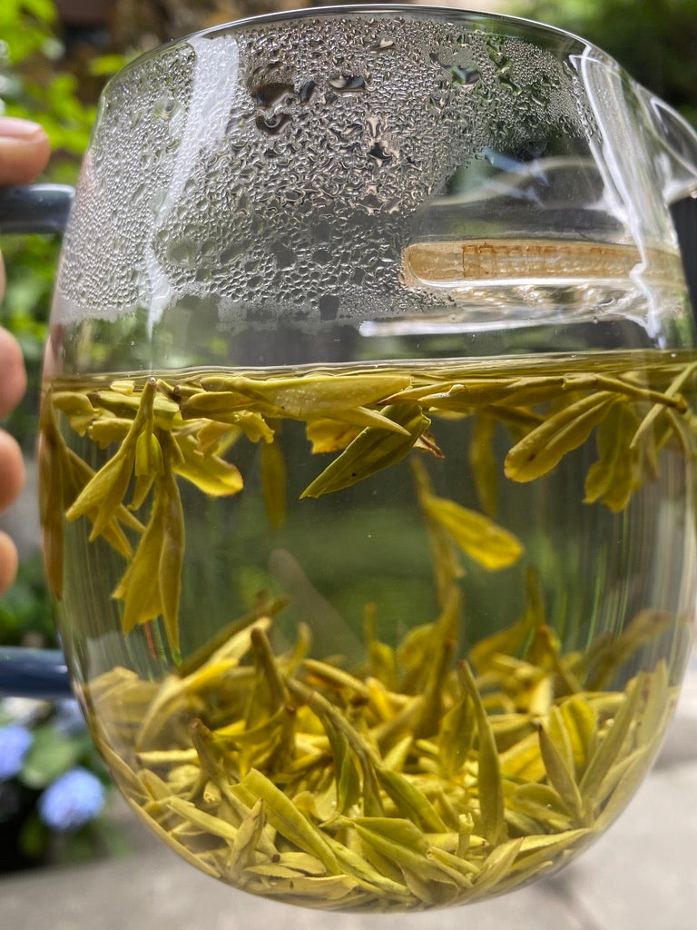 2024 Da Fo Long Jing “Dragon Well” - Zhejiang Green Tea