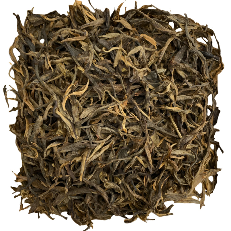 2013 Mangfei Da Shu Loose Leaf Sheng Pu'er Tea