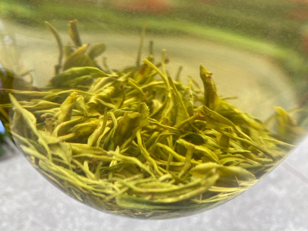 2024 Meng Ding Mao Feng “Fur Peak” - Sichuan Green Tea
