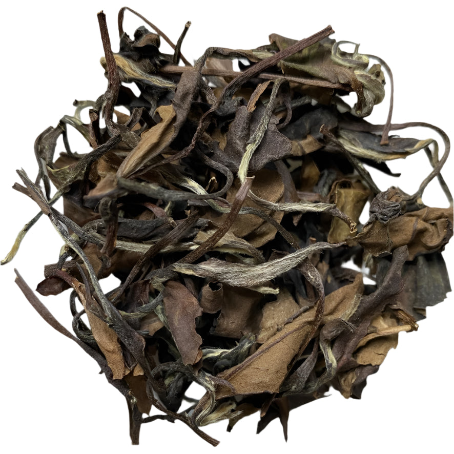 2013 Osmanthus Scented Organic Aged White Tea