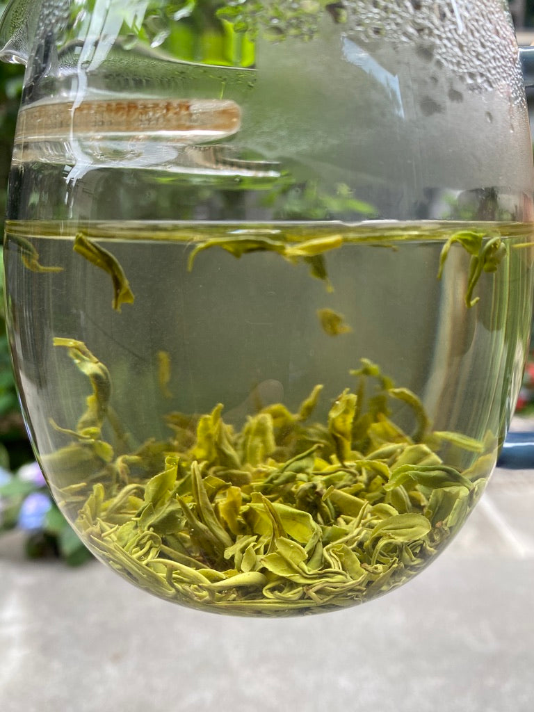 2024 Song Luo Cha - Anhui Green Tea