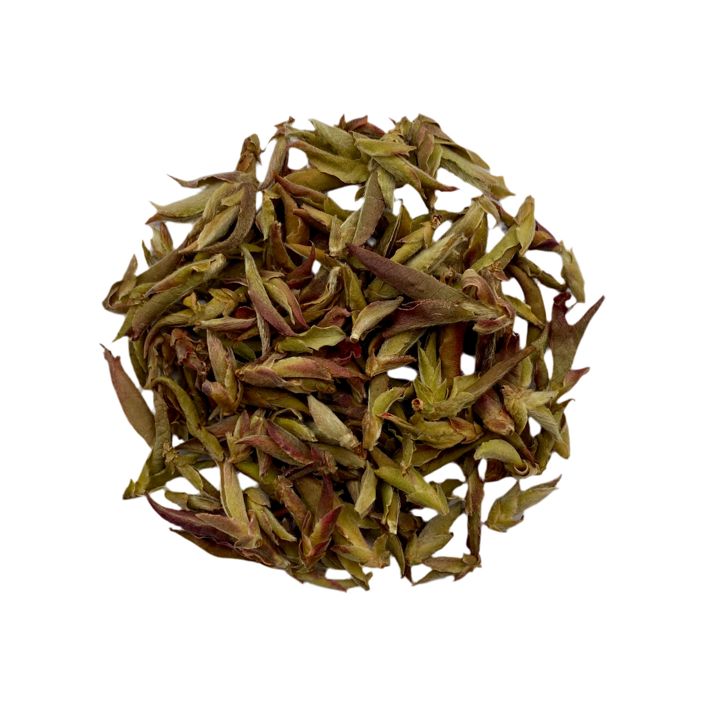 2023 Bangdong Wild Purple Ya Bao White Tea from Yunnan