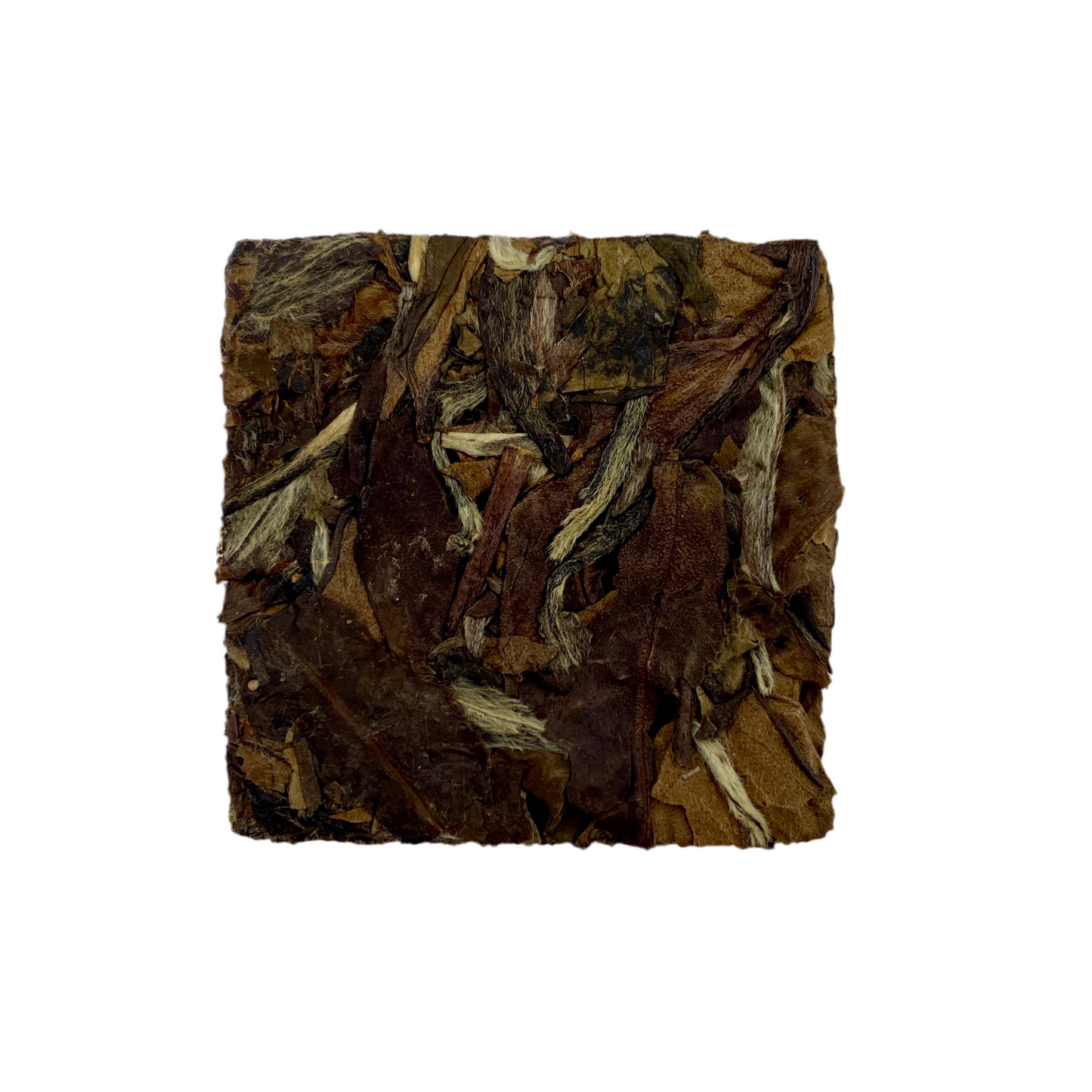 2016 Autumn Aged Shou Mei White Tea Biscuit