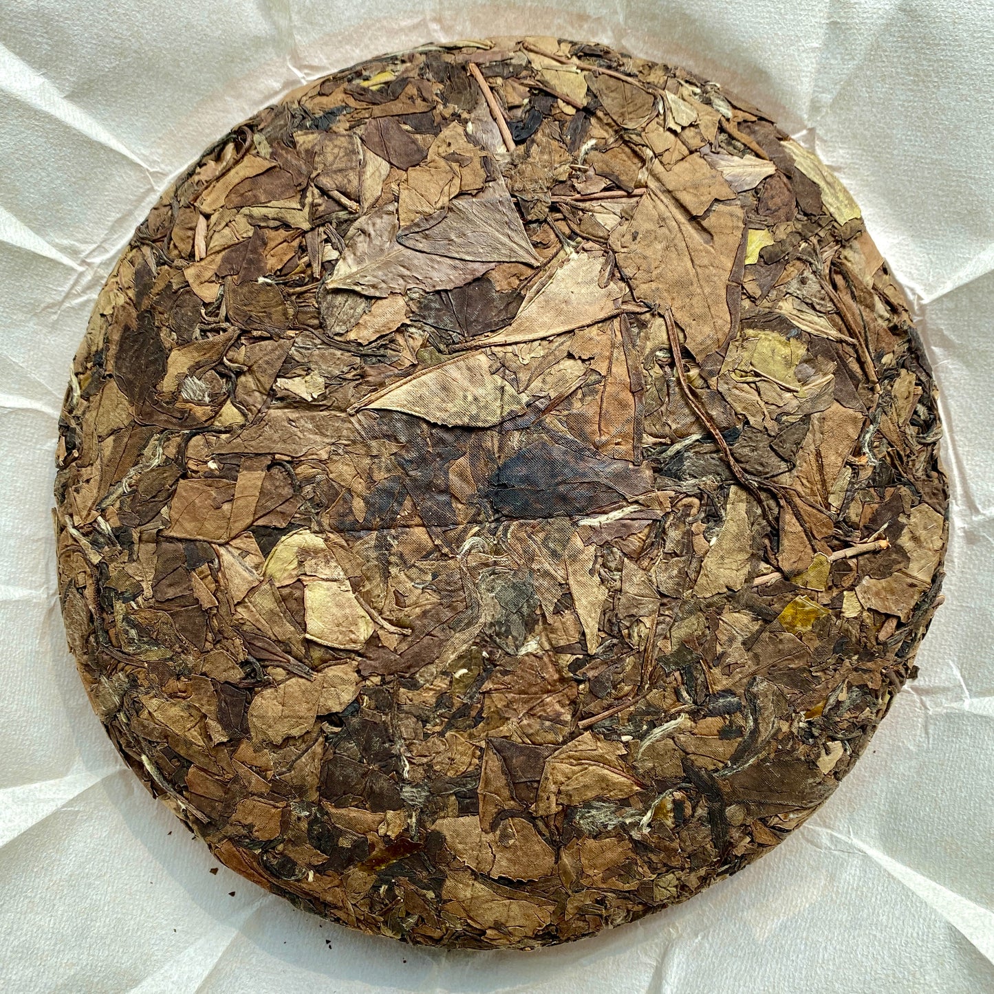 2013 Aged Shou Mei White Tea Cake