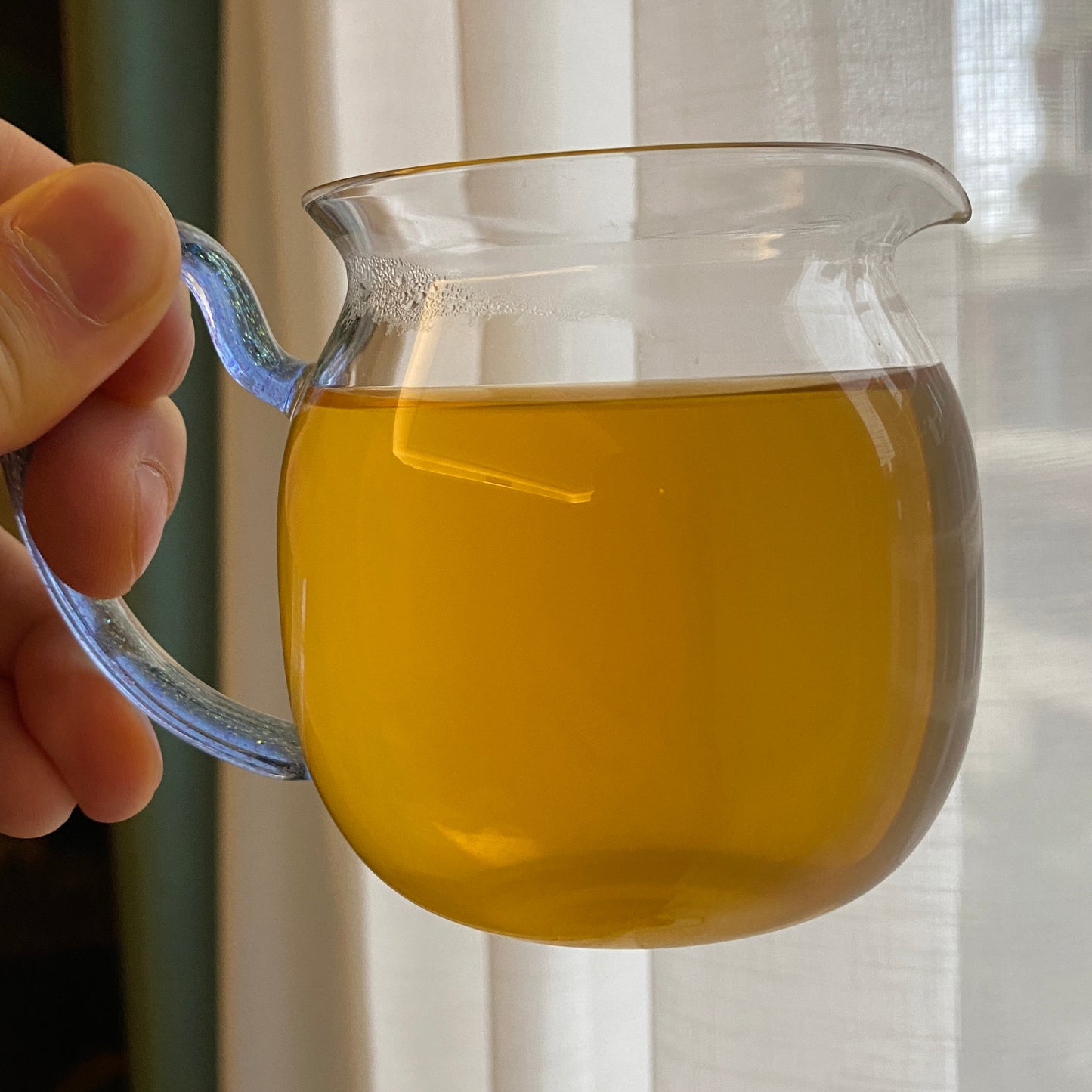 2022 Qu Jiang Bao Pian - Anhua Dark Tea