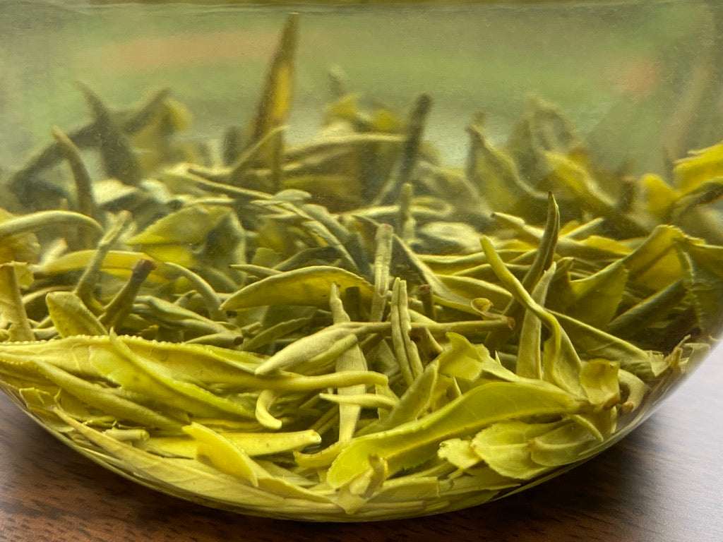 2024 Song Luo Cha - Anhui Green Tea