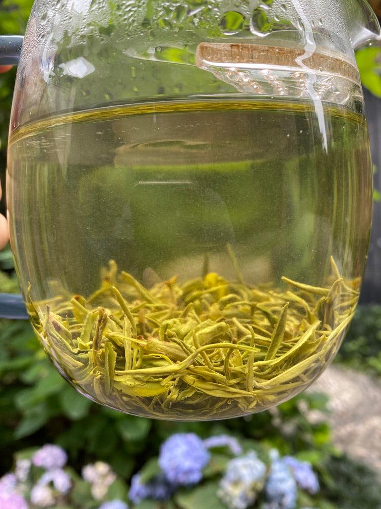 2024 Meng Ding Mao Feng “Fur Peak” - Sichuan Green Tea