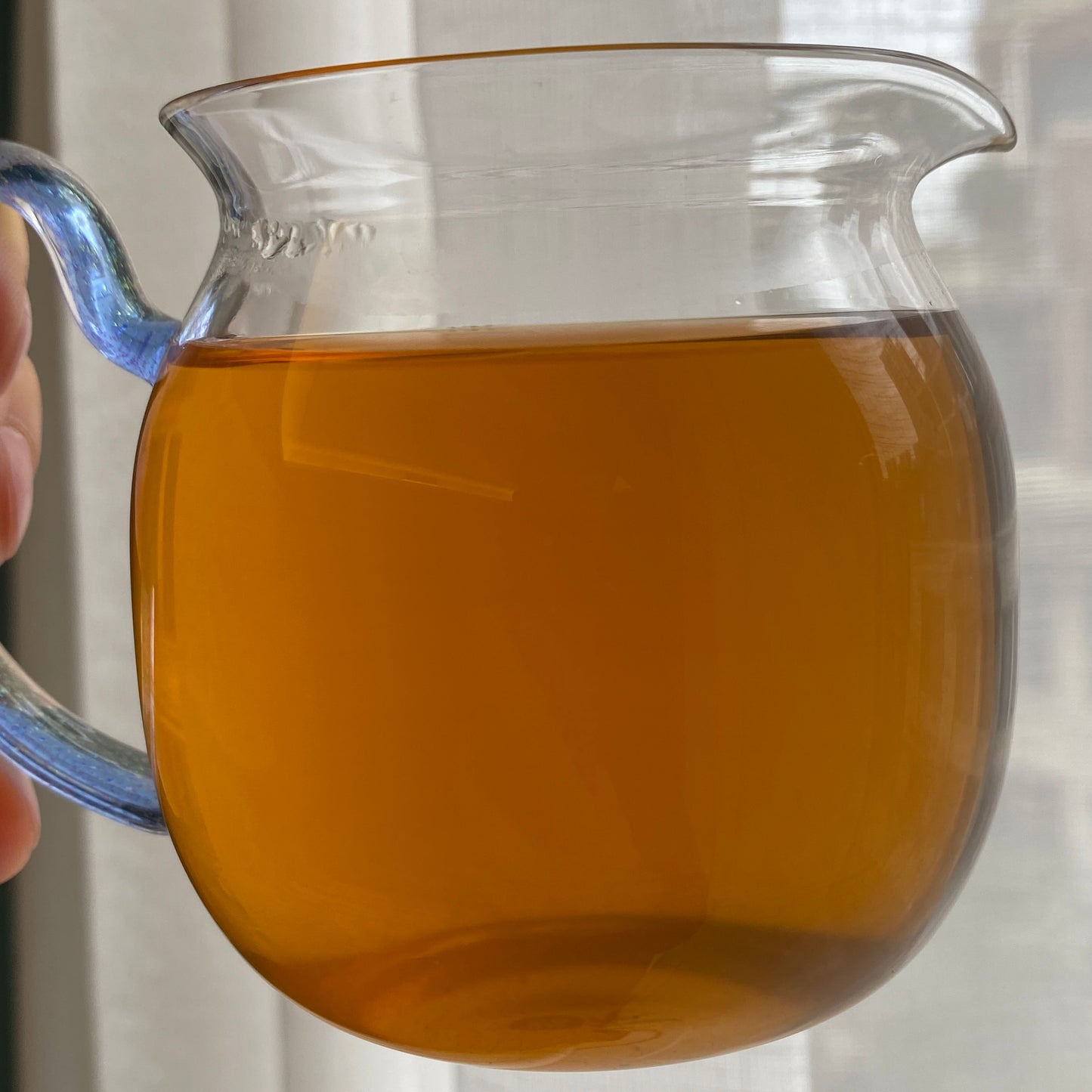 2021 Tian Jian Dragon Ball - Anhua Dark Tea