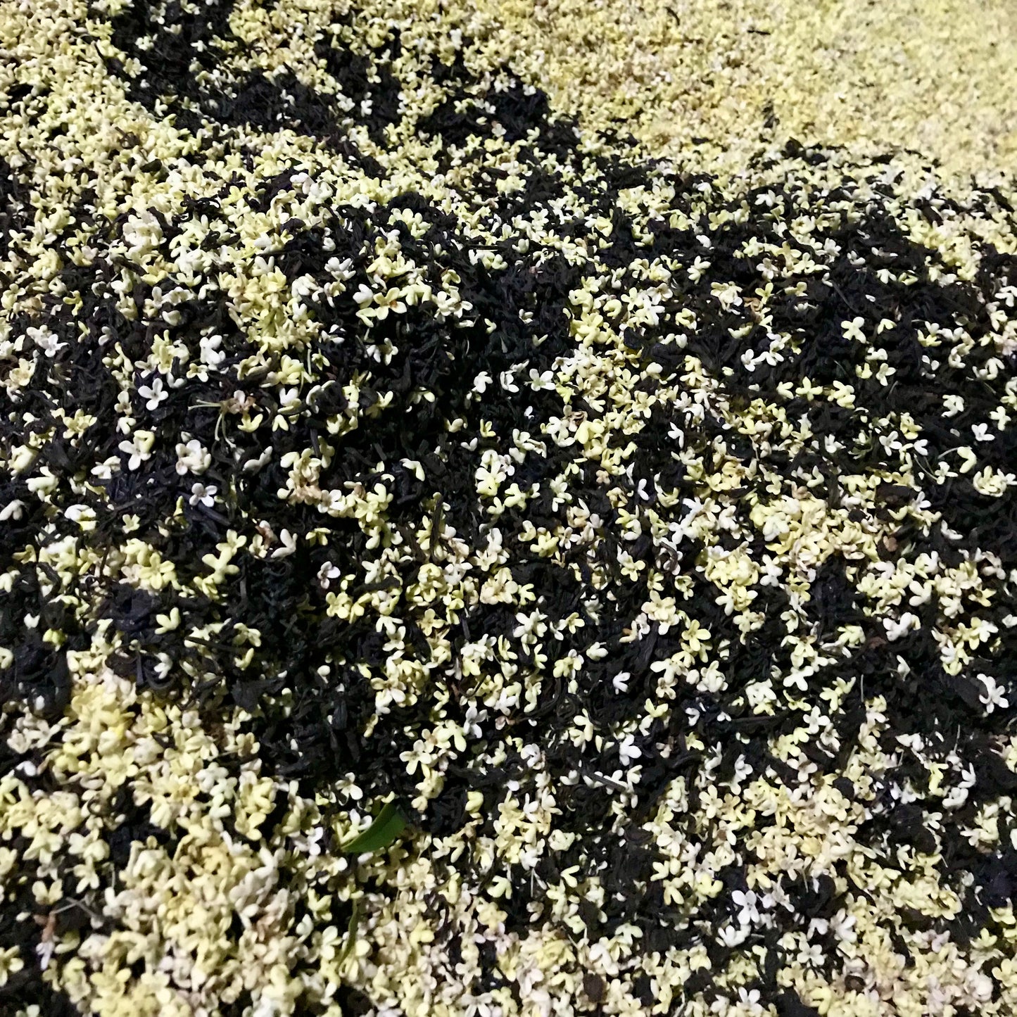 2018/2020 Osmanthus Scented Ya Xi Loose Leaf Tibetan Tea