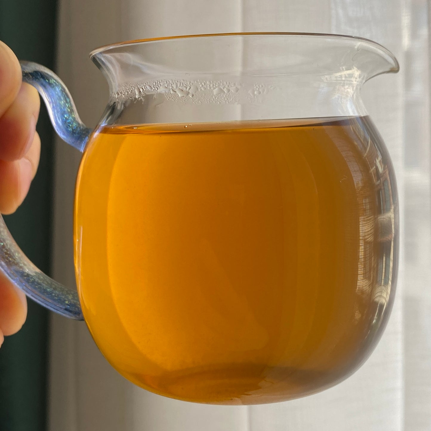 2018 Hei Zhuan "Black Brick" - Anhua Dark Tea