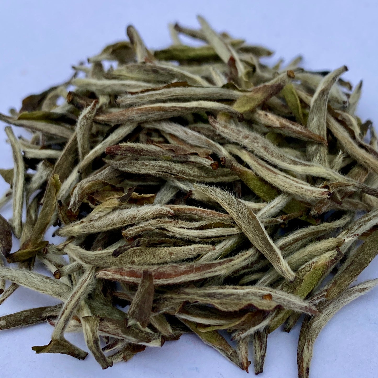 2020 Bai Hao Yin Zhen “Silver Needle” Charcoal Roasted White Tea