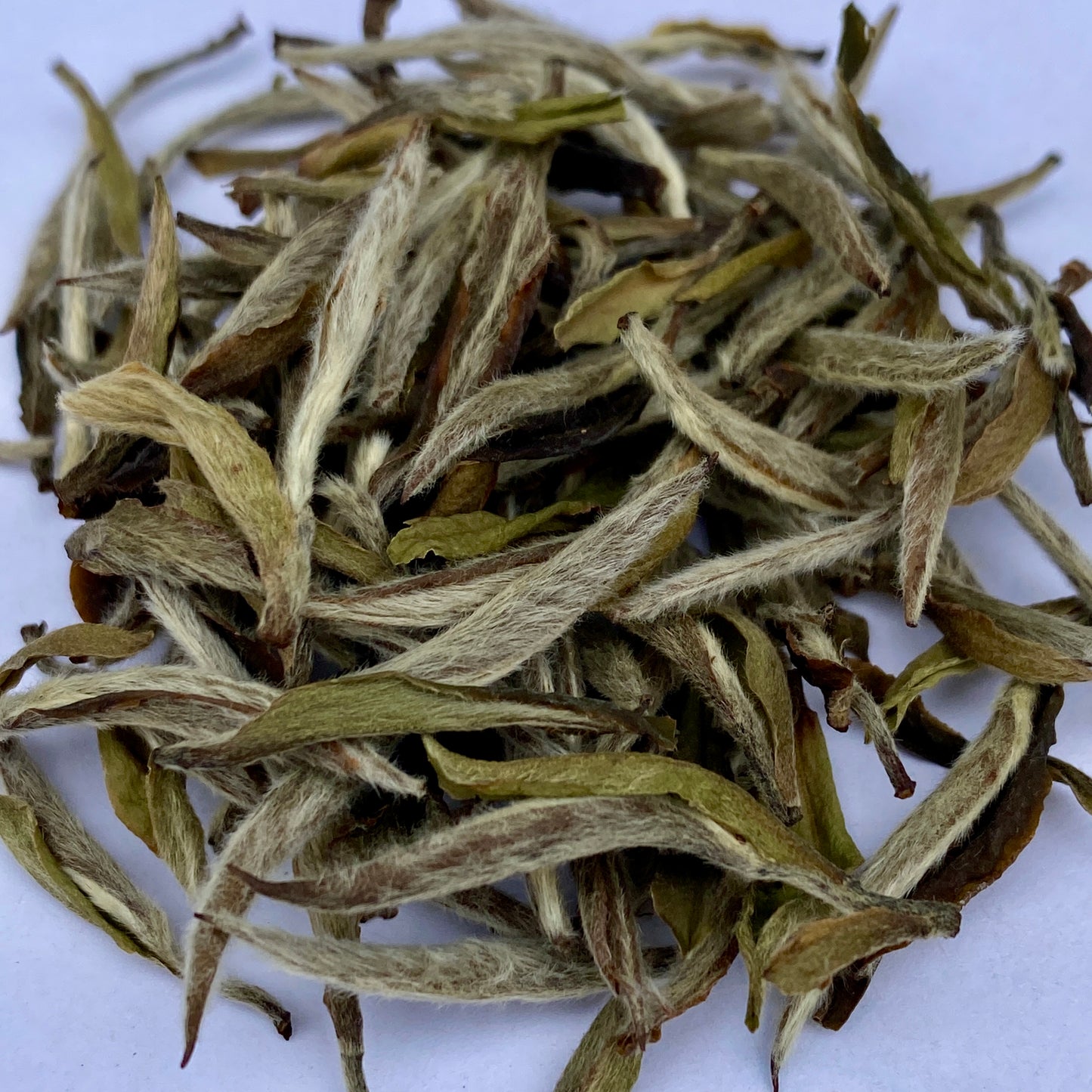 2017 Wild Mu Dan Wang “Peony King” White Tea