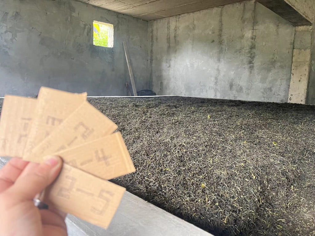 2023 Tian Jian Loose Leaf - Anhua Dark Tea