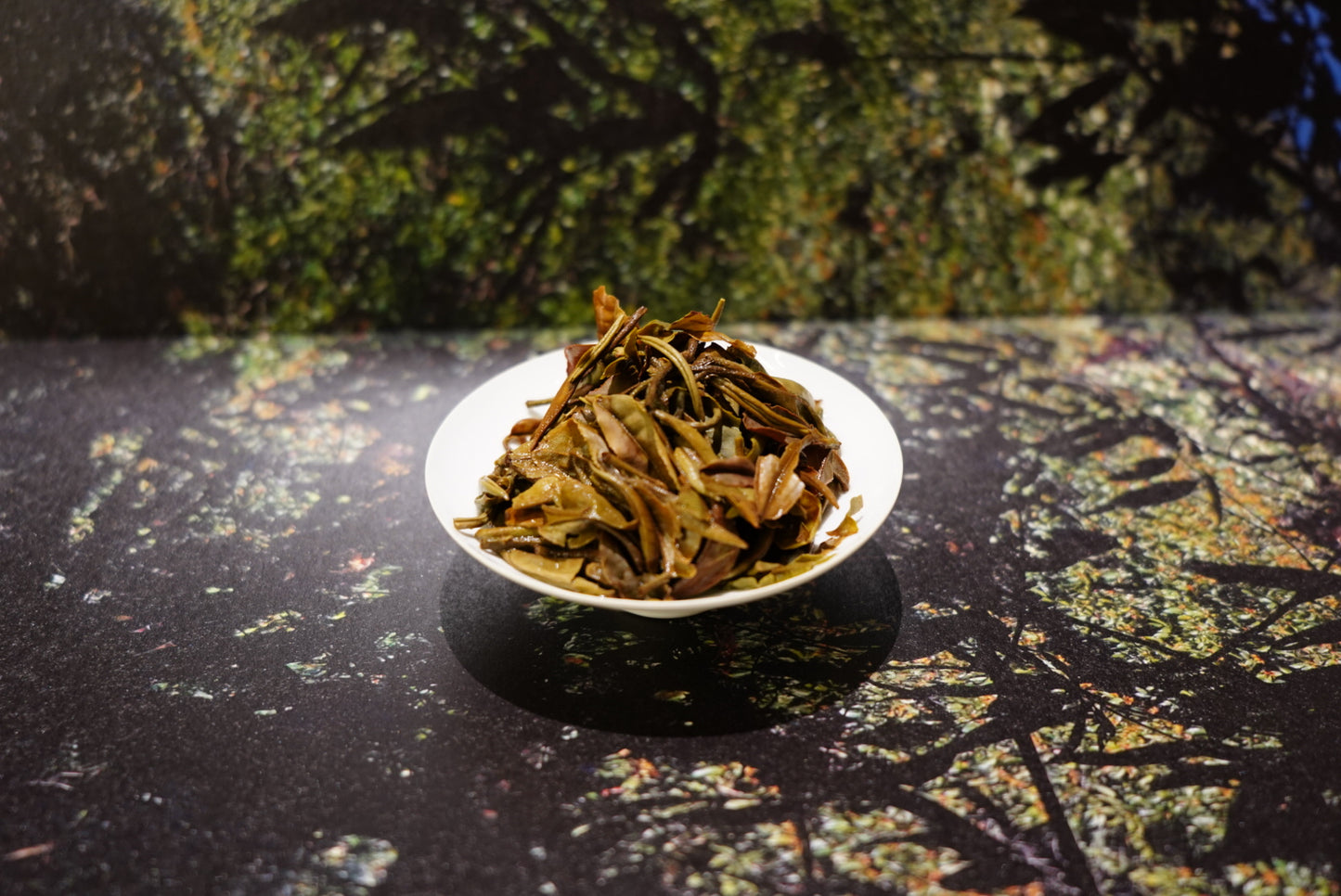 2025 Yunnan Phoenix Mountain Organic Moonlight White Tea