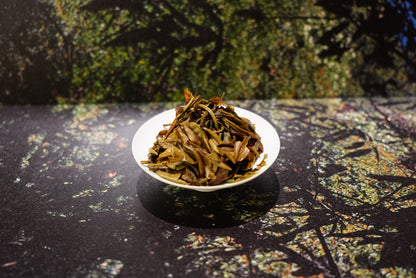 2025 Yunnan Phoenix Mountain Organic Moonlight White Tea